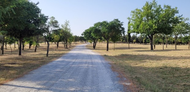 Λάρισα: Καθαρισμός μεγάλων χώρων πρασίνου 